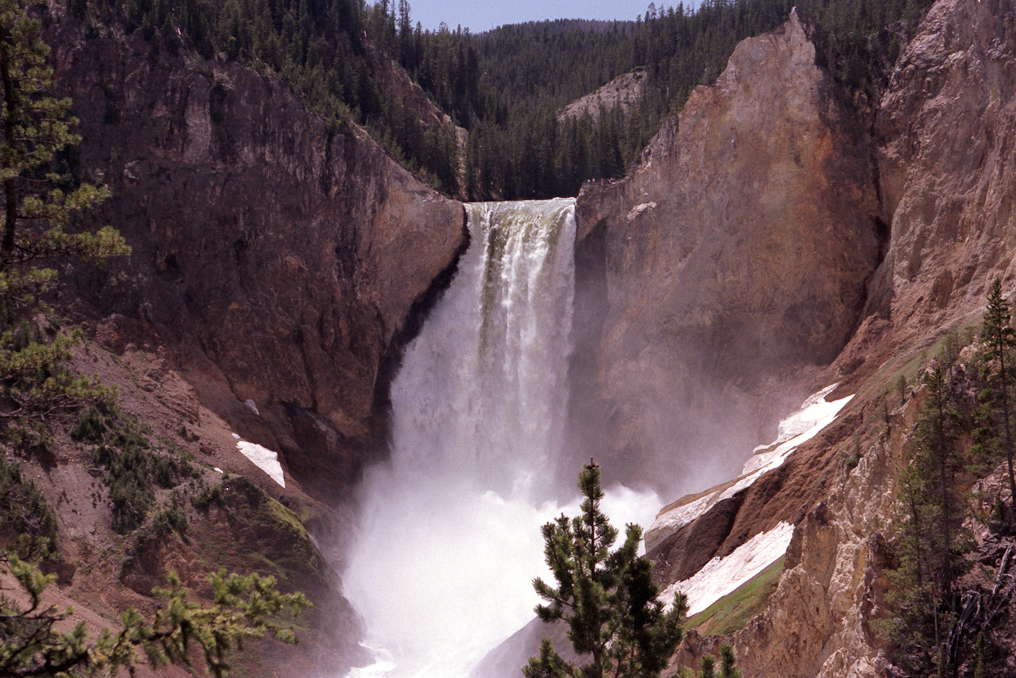 Lower Falls   Yellowstone National Park