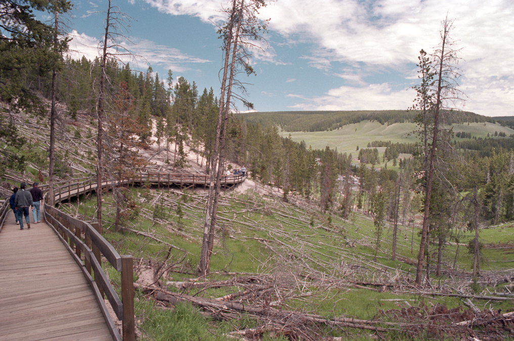    Mud Volcano Area, Yellowstone National Park