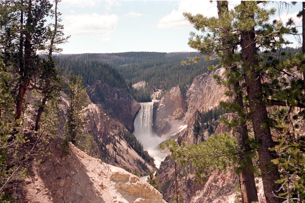 View of the Lower Falls   Artist Point, Yellowstone National Park