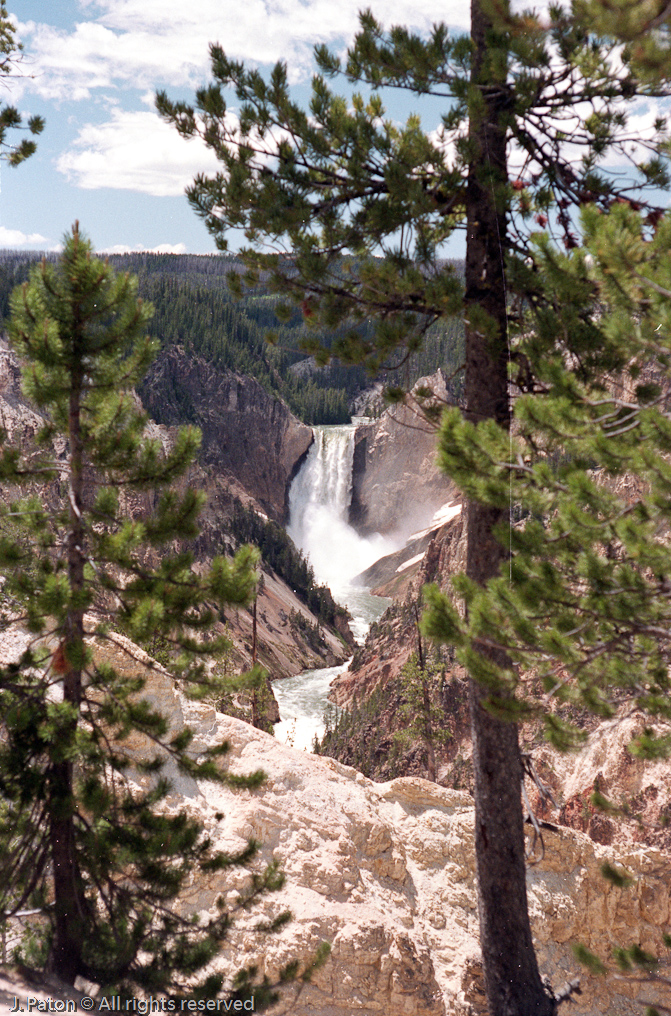 View of the Lower Falls   Artist Point, Yellowstone National Park, Wyoming