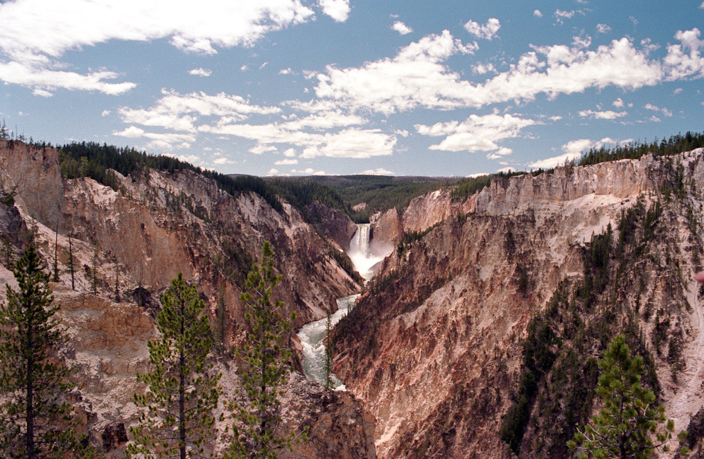 View of the Lower Falls   Artist Point, Yellowstone National Park