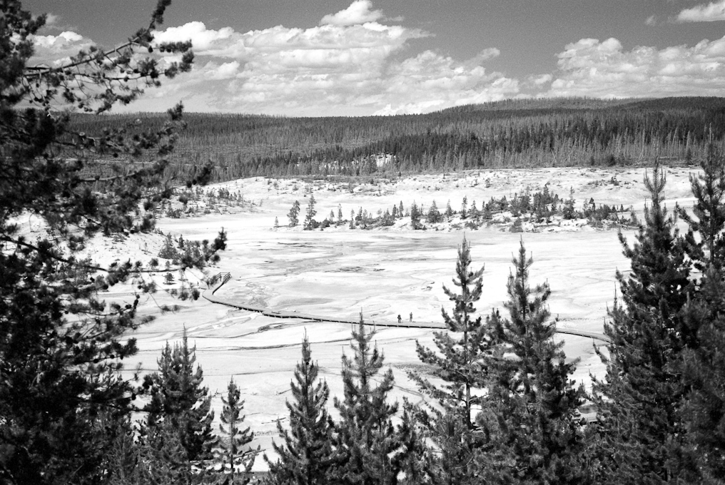    Norris Geyser Basin, Yellowstone National Park