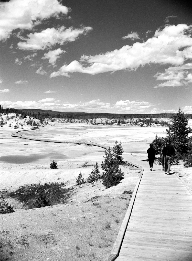    Norris Geyser Basin, Yellowstone National Park