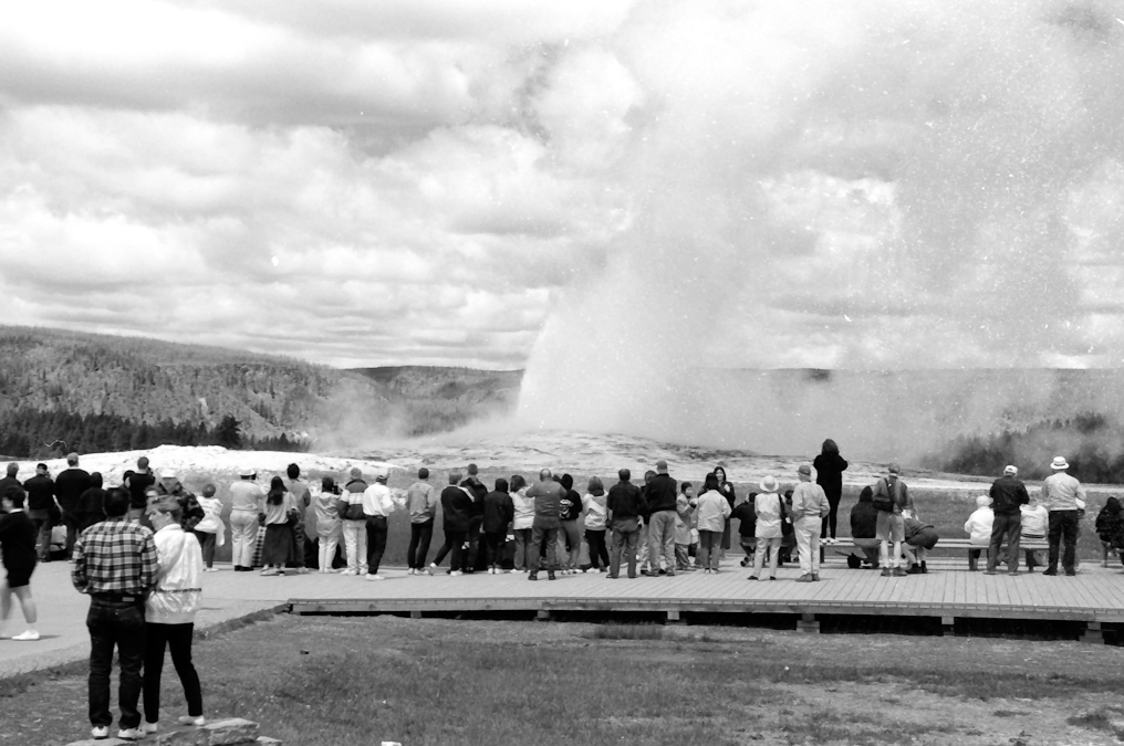 Old Faithful Geyser   Upper Geyser Basin, Yellowstone National Park