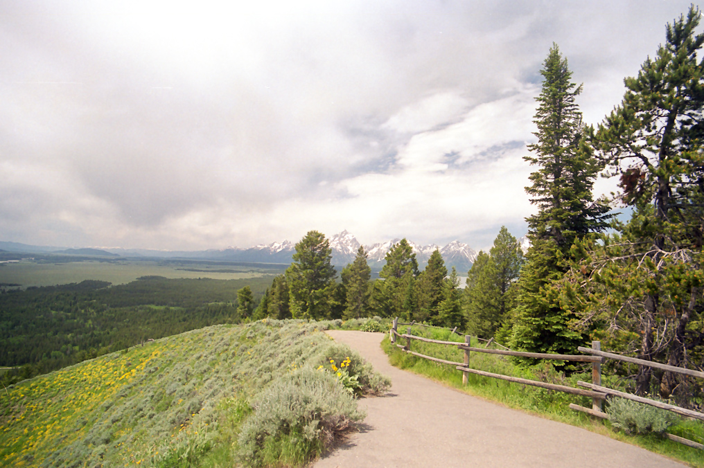 Signal Mountain   Grand Teton National Park