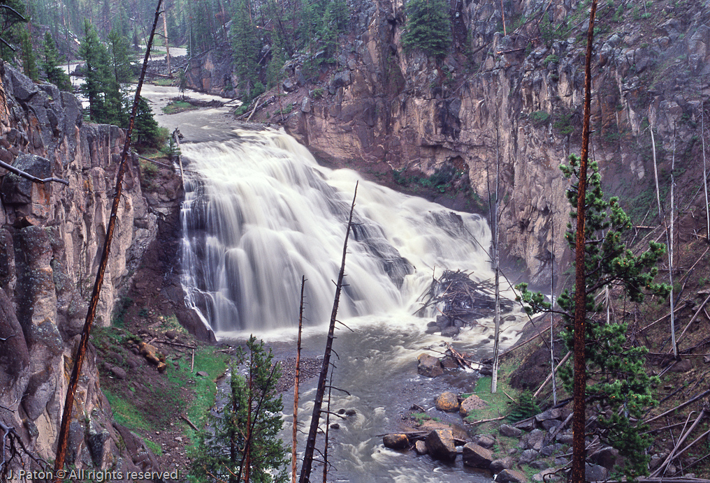 Gibbon Falls   Yellowstone National Park, Wyoming