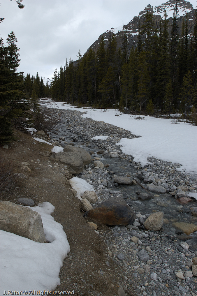    Icefield Parkway, Banff National Park, Alberta Canada