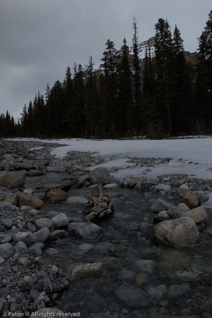    Icefield Parkway, Banff National Park, Alberta Canada