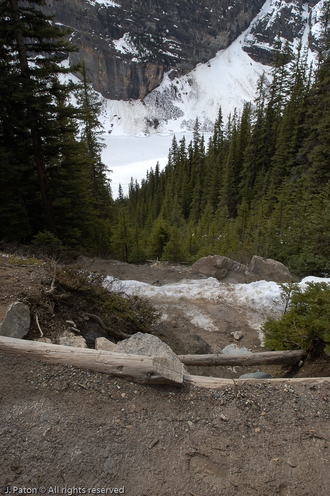 Looking Down from the Trail   Lake Louise, Banff National Park, Albert, Canada