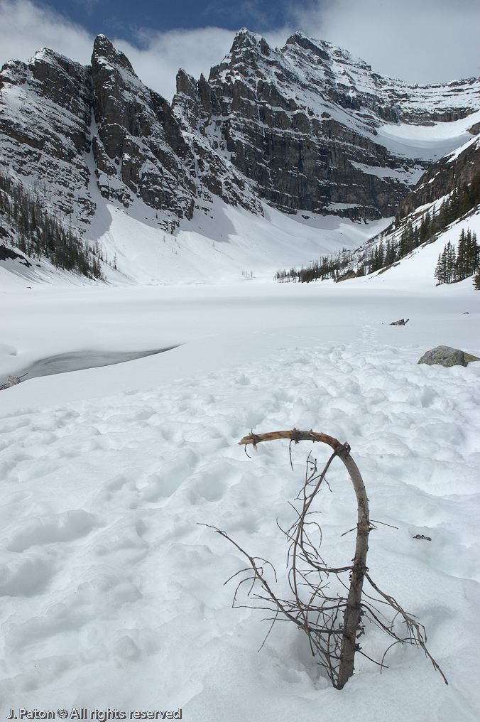 Snowy Lake Agnes   Lake Louise, Banff National Park, Albert, Canada