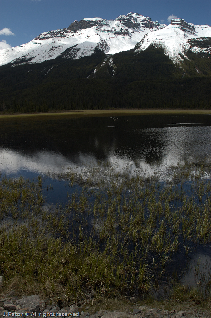    Icefield Parkway, Banff National Park, Alberta Canada