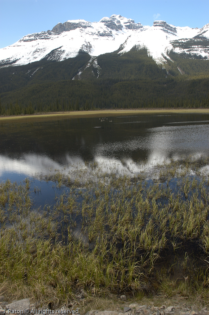    Icefield Parkway, Banff National Park, Alberta Canada