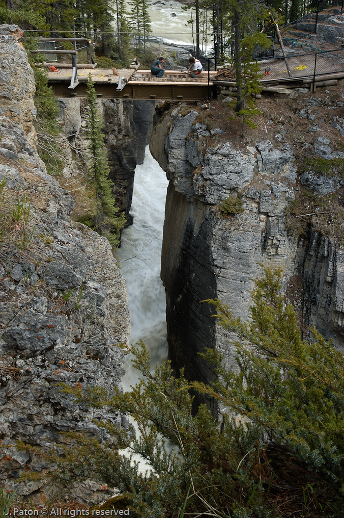    Icefield Parkway, Jasper National Park, Alberta, Canada