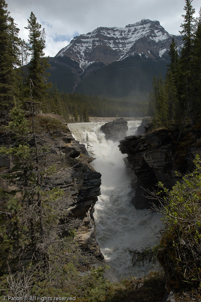    Icefield Parkway, Jasper National Park, Alberta, Canada