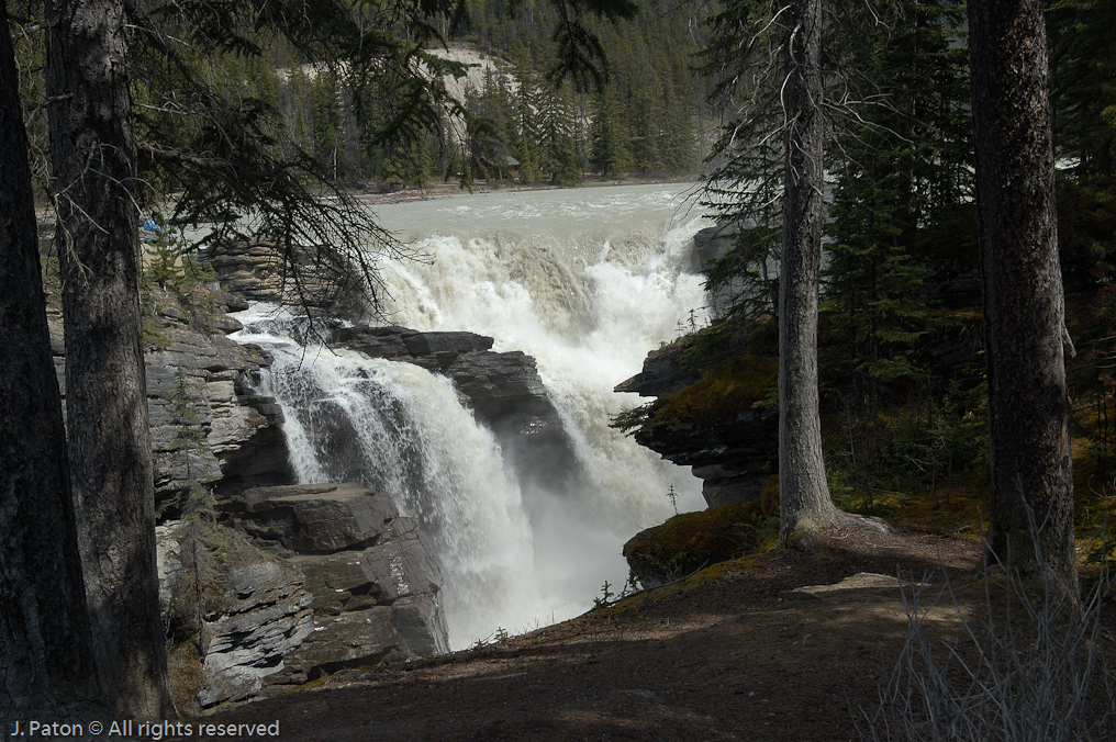    Icefield Parkway, Jasper National Park, Alberta, Canada