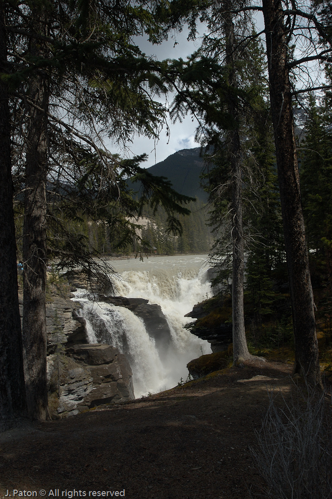    Icefield Parkway, Jasper National Park, Alberta, Canada