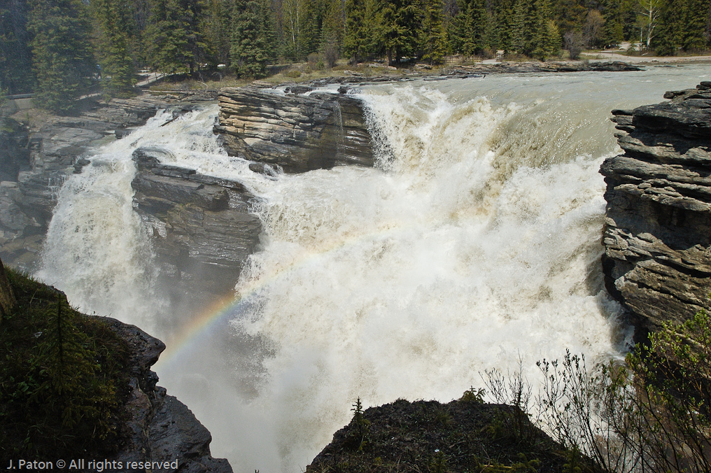 Athabasca Falls   Icefield Parkway, Jasper National Park, Alberta, Canada