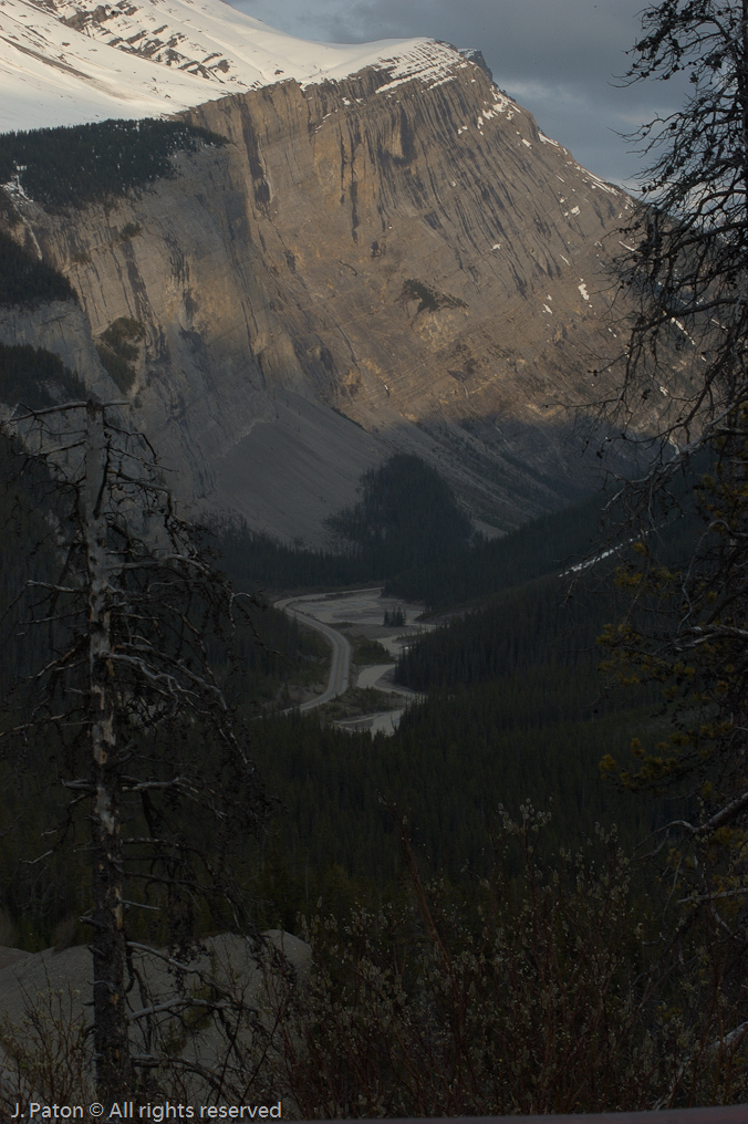    Icefield Parkway, Jasper National Park, Alberta, Canada