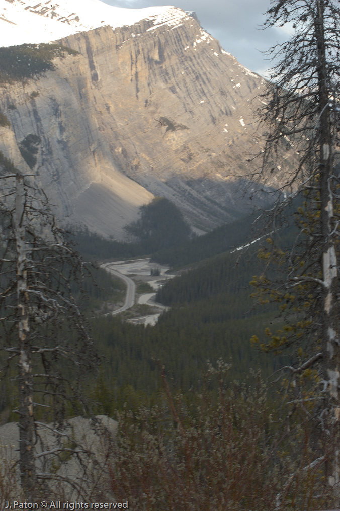    Icefield Parkway, Jasper National Park, Alberta, Canada