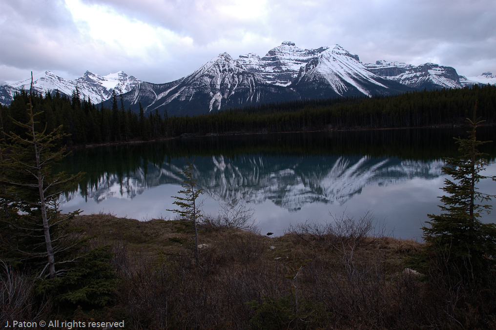 Herbert Lake Late in the Day   Icefield Parkway, Jasper National Park, Alberta, Canada