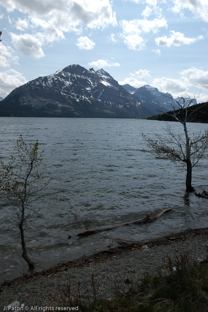    Glacier National Park, Montana