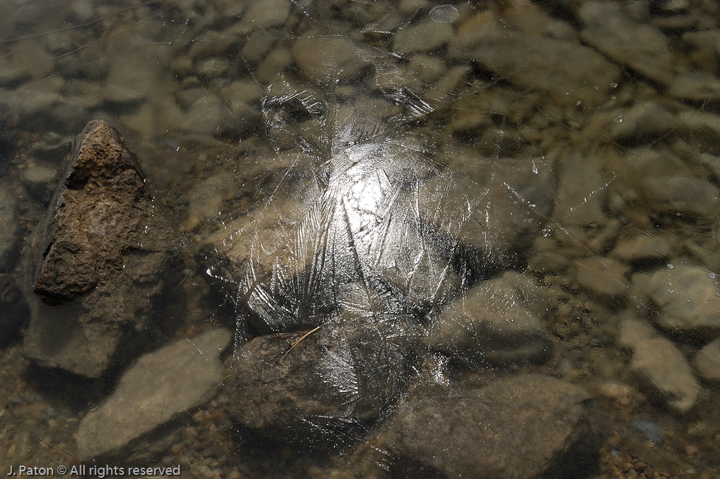 Thin Ice Reflection   Banff National Park, Alberta, Canada