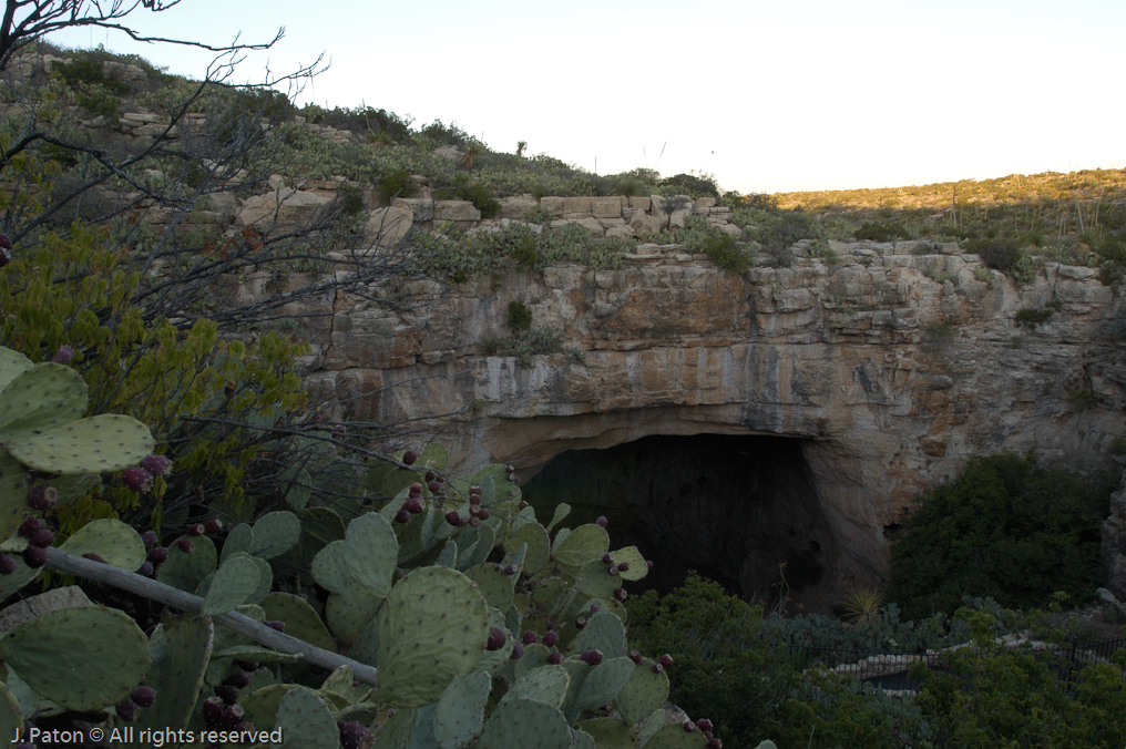    Carlsbad Caverns National Park, New Mexico