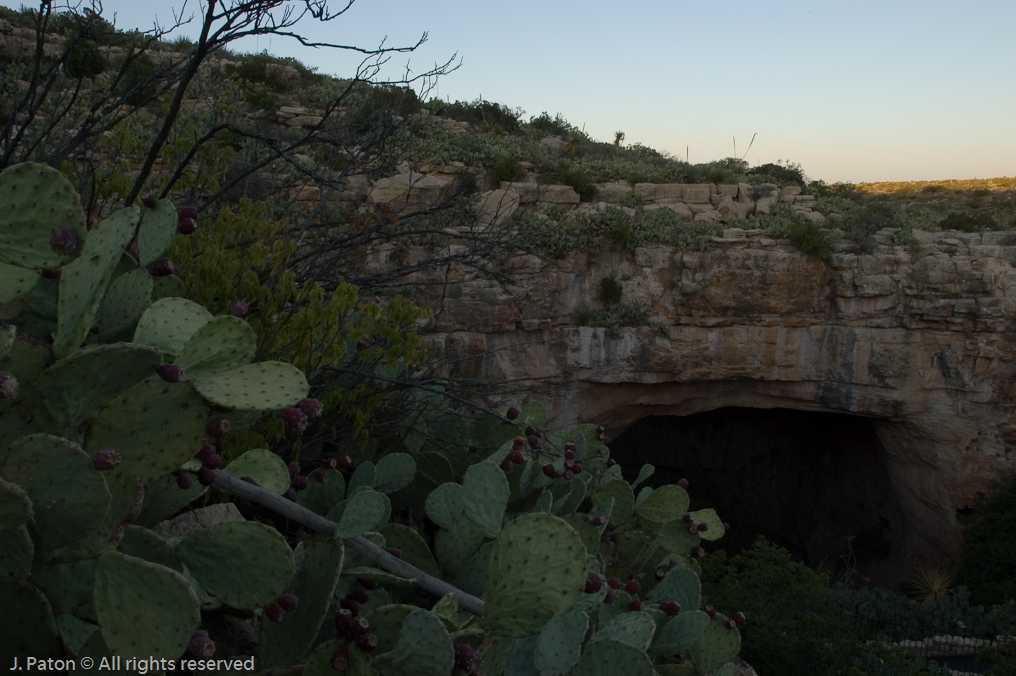 Waiting for the Bats   Carlsbad Caverns National Park, New Mexico