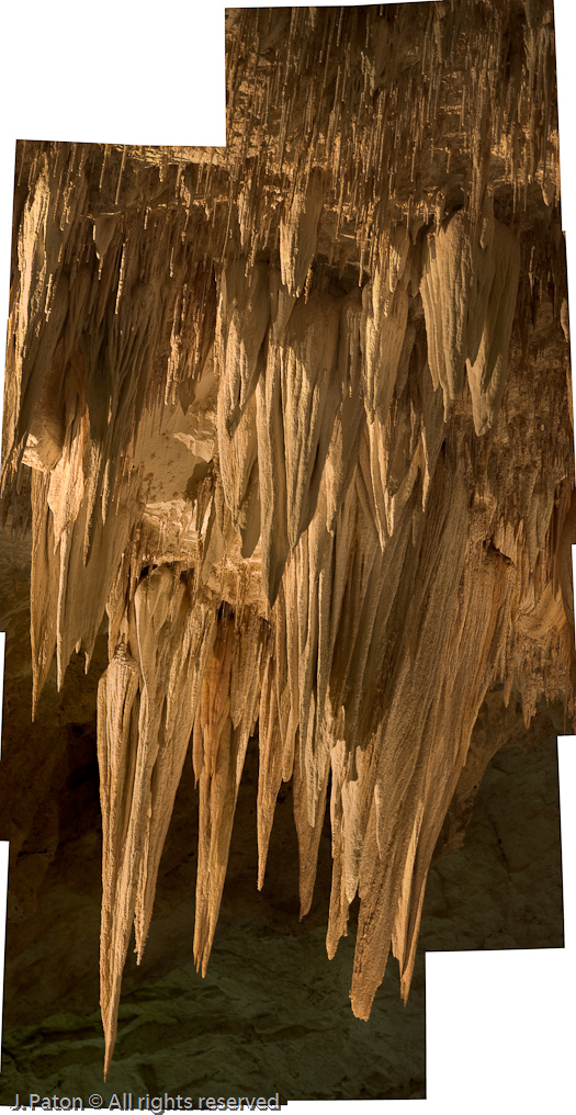 Soda Straws   Carlsbad Caverns National Park, New Mexico