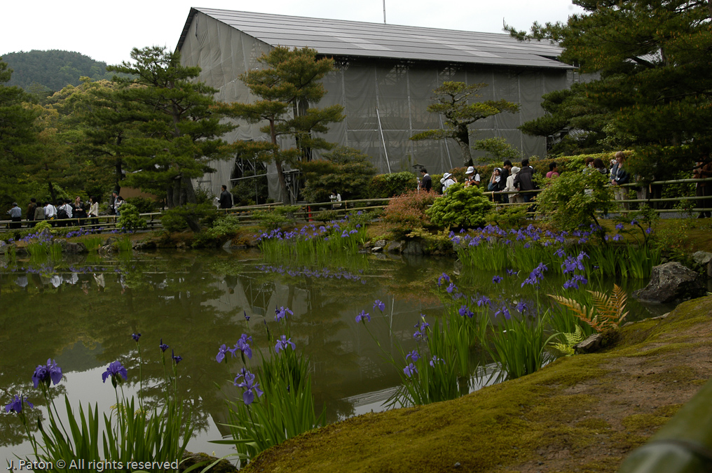 Kinkakuji, the Golden Pavilion   Kyoto, Japan