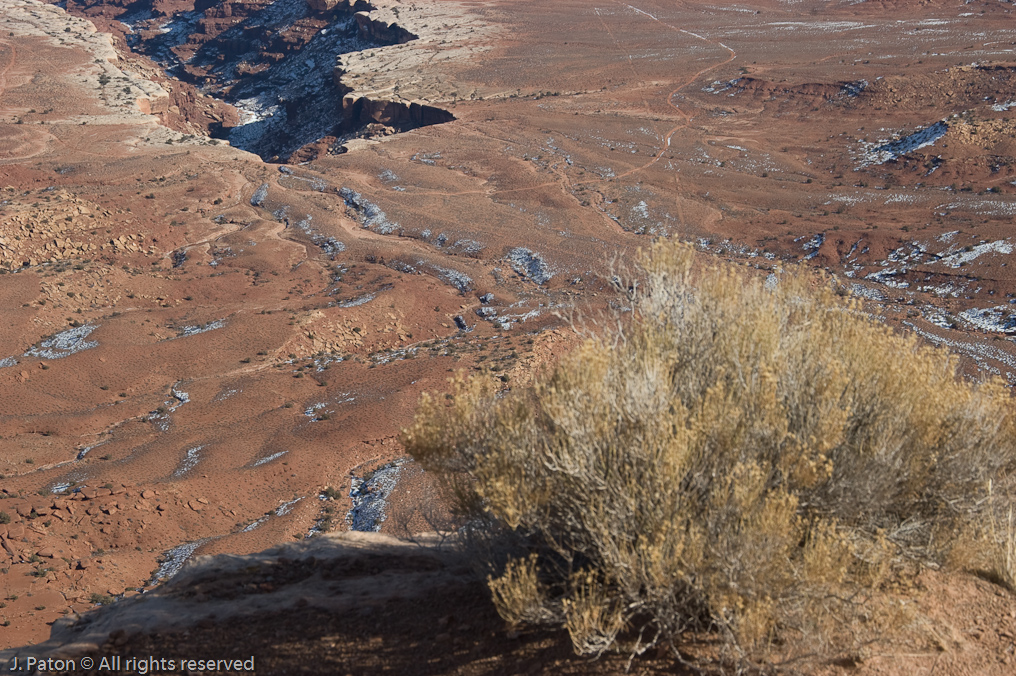 Buck Canyon Overlook   Canyonlands National Park, Utah