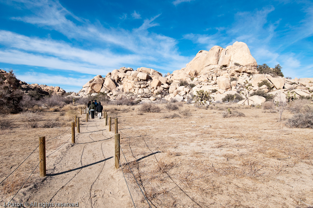 Barker Dam Trail   Joshua Tree National Park, California