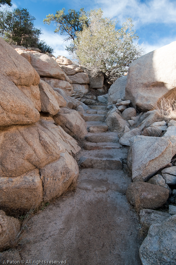 Tail Steps   Joshua Tree National Park, California