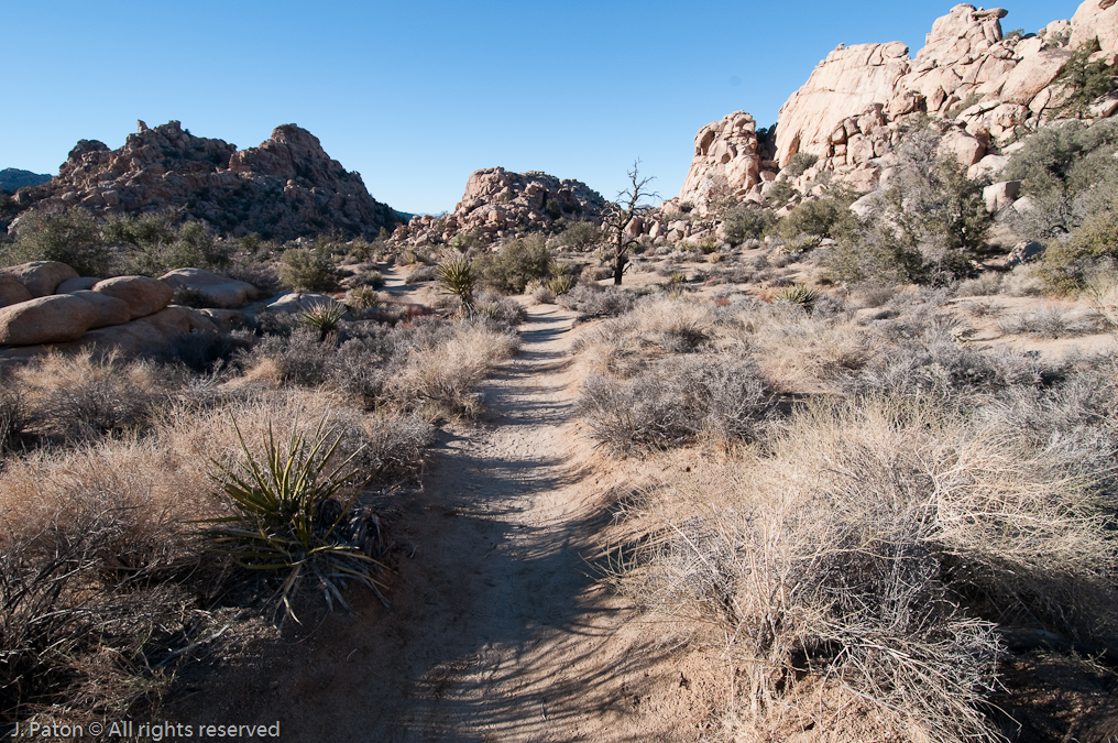 Hidden Valley Trail   Joshua Tree National Park, California