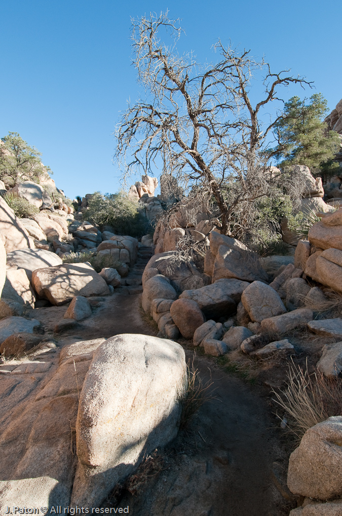 Hidden Valley Trail   Joshua Tree National Park, California