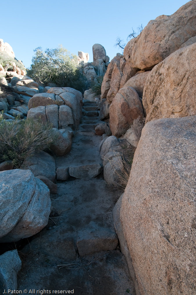 Hidden Valley Trail   Joshua Tree National Park, California