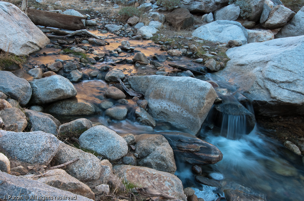 Stream Along Trail   Palm Canyon Trail, Anza-Borrego Desert State Park, California