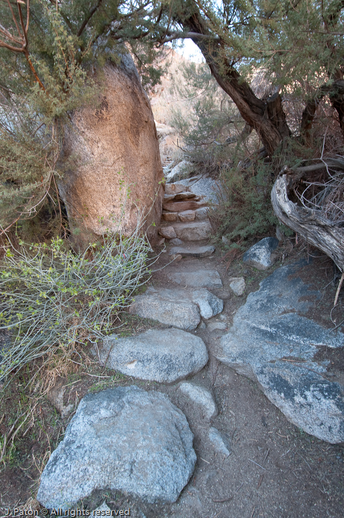 Skinny Part of the Trail   Palm Canyon Trail, Anza-Borrego Desert State Park, California