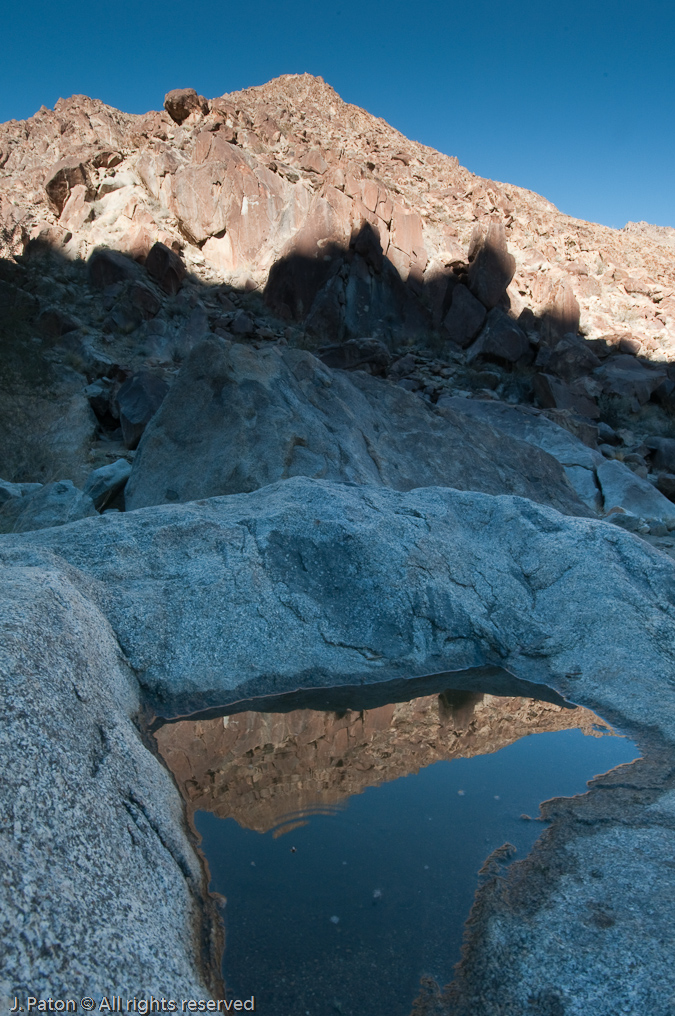 Reflection   Palm Canyon Trail, Anza-Borrego Desert State Park, California