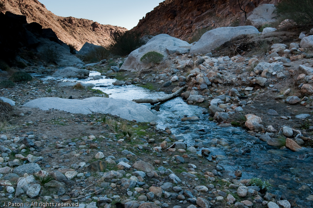 View Downstream   Palm Canyon Trail, Anza-Borrego Desert State Park, California