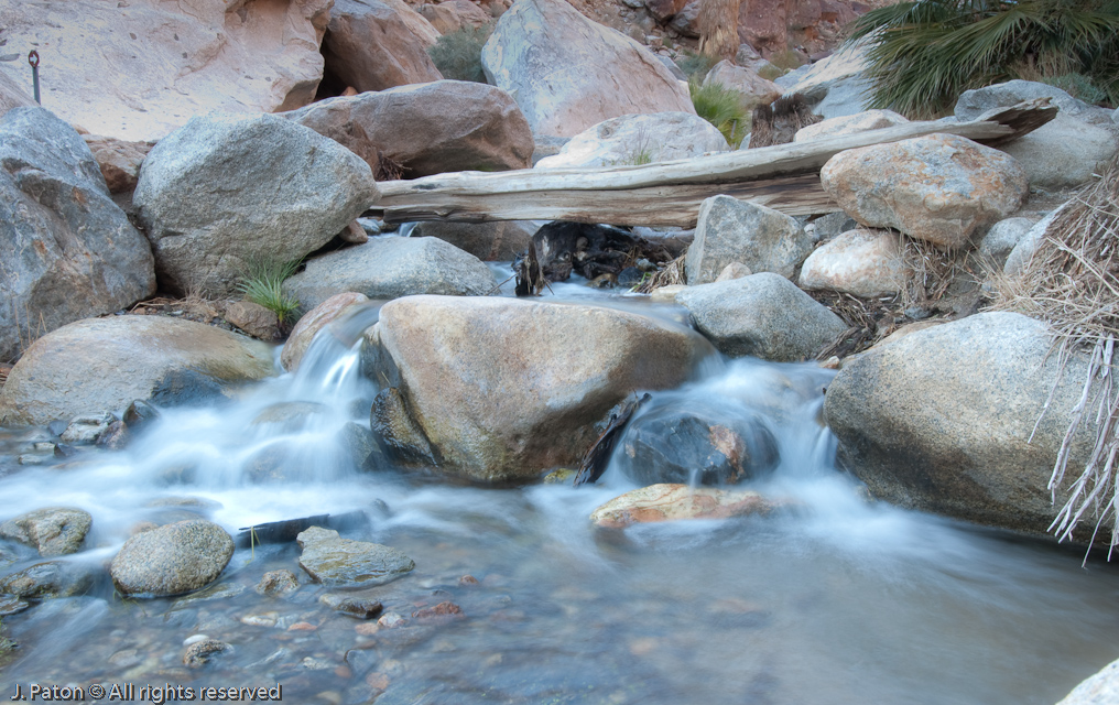 Stream Crossing   Palm Canyon Trail, Anza-Borrego Desert State Park, California