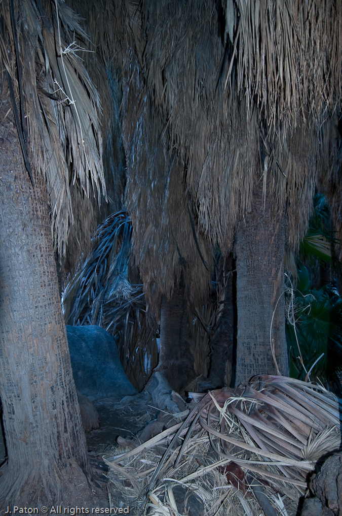 Dark Inside   Palm Canyon Trail, Anza-Borrego Desert State Park, California