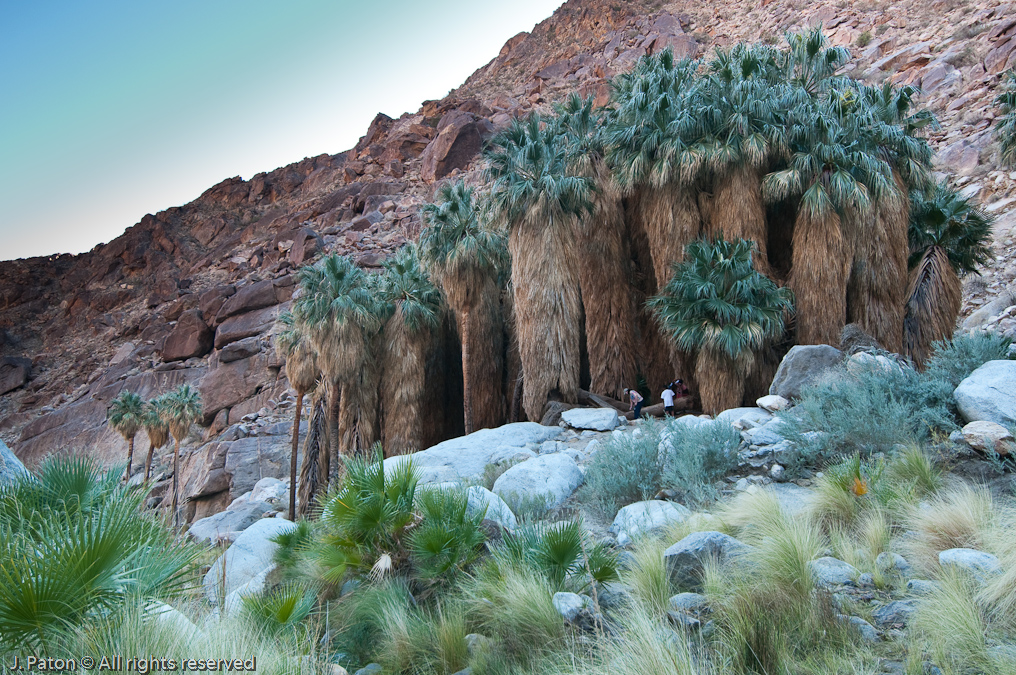 Another Side   Palm Canyon Trail, Anza-Borrego Desert State Park, California