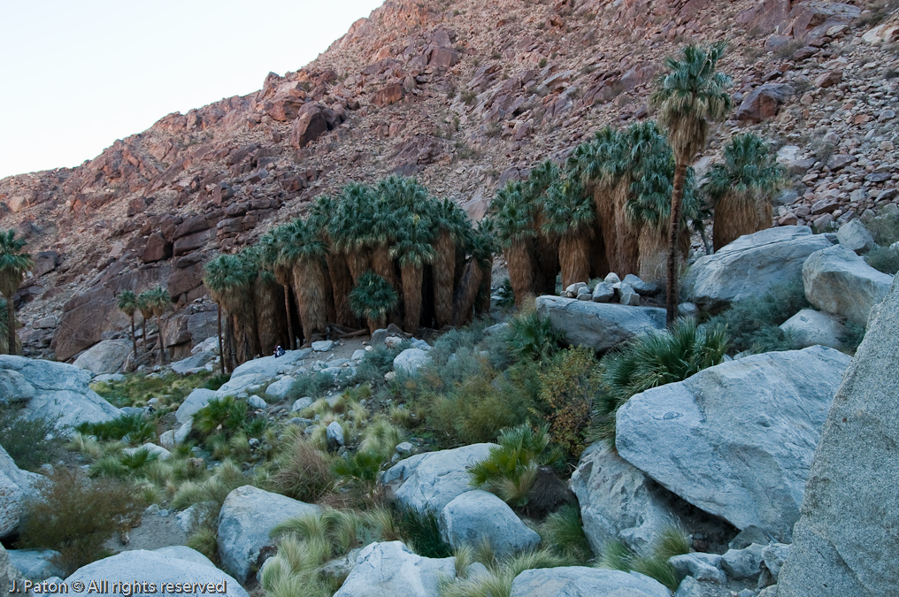 View From My Lunch Spot   Palm Canyon Trail, Anza-Borrego Desert State Park, California