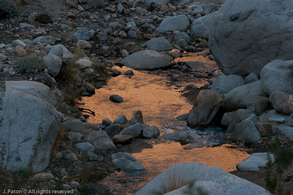 Reflection From Sunlight Off of the Canyon Wall   Palm Canyon Trail, Anza-Borrego Desert State Park, California