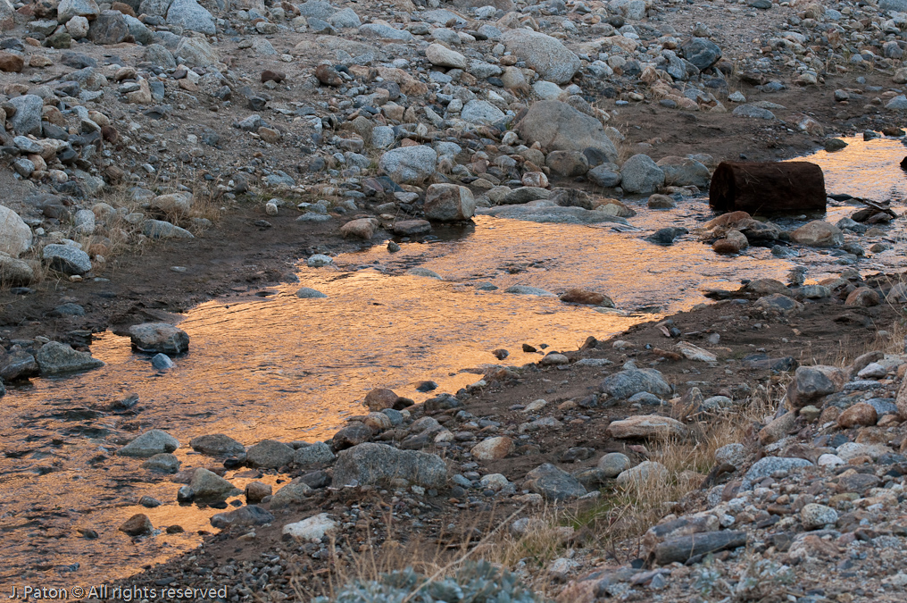 Reflection From Sunlight Off of the Canyon Wall   Palm Canyon Trail, Anza-Borrego Desert State Park, California