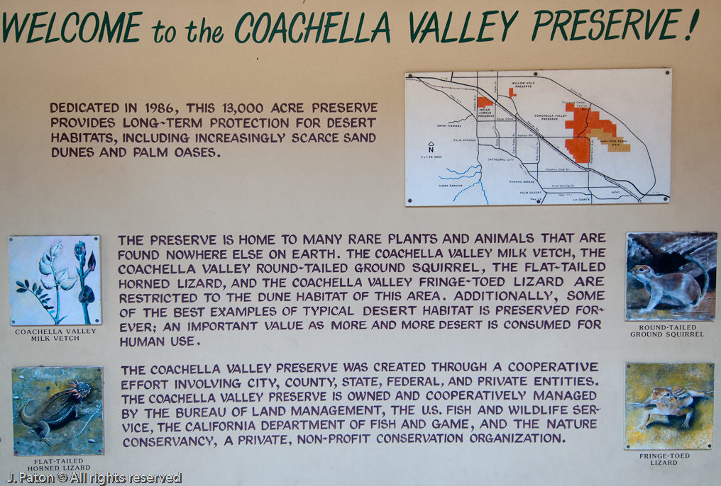 More Info   Coachella Valley Preserve, California