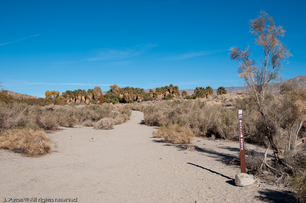 Trail Opens Up   Coachella Valley Preserve, California