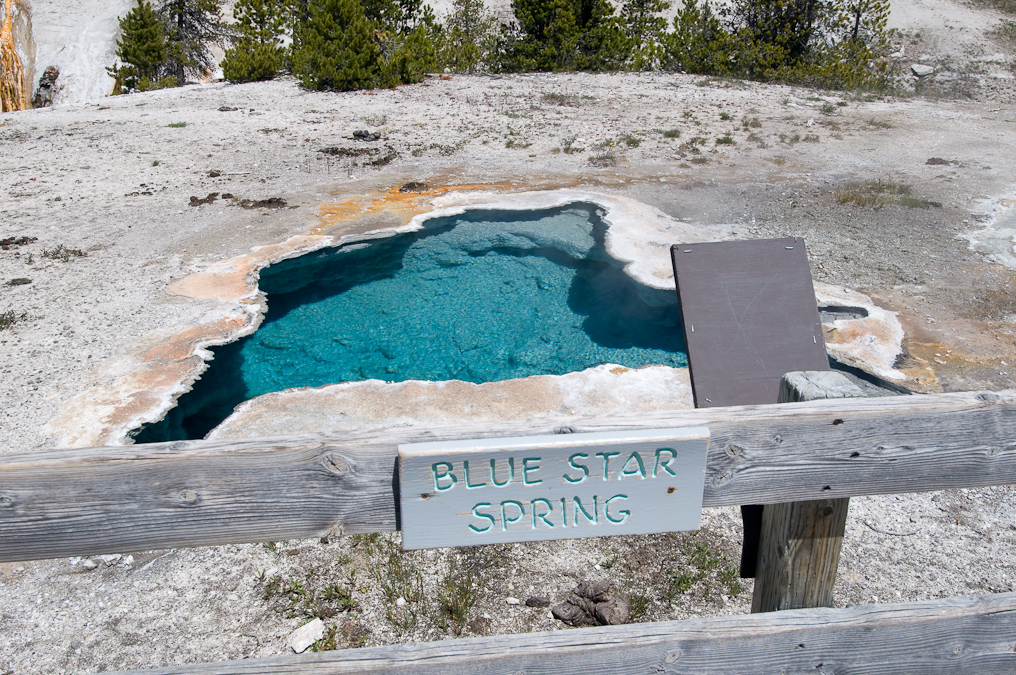 Blue Star Spring   Upper Geyser Basin, Yellowstone National Park