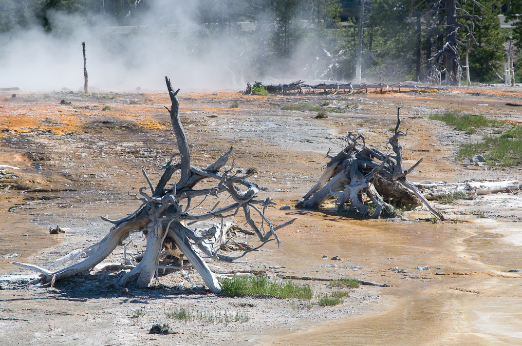    Fountain Paint Pots Area, Yellowstone National Park